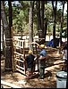 Campamento de verano 2005 en el Robledal - Del 1 al 14 de agosto de 2005