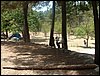 Campamento de verano 2005 en el Robledal - Del 1 al 14 de agosto de 2005