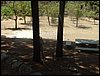 Campamento de verano 2005 en el Robledal - Del 1 al 14 de agosto de 2005