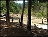 Campamento de verano 2005 en el Robledal - Del 1 al 14 de agosto de 2005