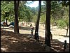 Campamento de verano 2005 en el Robledal - Del 1 al 14 de agosto de 2005