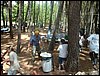 Campamento de verano 2005 en el Robledal - Del 1 al 14 de agosto de 2005