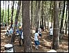 Campamento de verano 2005 en el Robledal - Del 1 al 14 de agosto de 2005