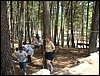 Campamento de verano 2005 en el Robledal - Del 1 al 14 de agosto de 2005