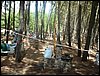 Campamento de verano 2005 en el Robledal - Del 1 al 14 de agosto de 2005