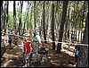 Campamento de verano 2005 en el Robledal - Del 1 al 14 de agosto de 2005