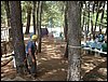 Campamento de verano 2005 en el Robledal - Del 1 al 14 de agosto de 2005