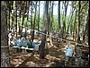 Campamento de verano 2005 en el Robledal - Del 1 al 14 de agosto de 2005