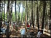 Campamento de verano 2005 en el Robledal - Del 1 al 14 de agosto de 2005
