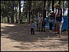 Campamento de verano 2005 en el Robledal - Del 1 al 14 de agosto de 2005