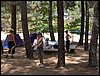Campamento de verano 2005 en el Robledal - Del 1 al 14 de agosto de 2005