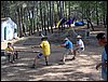 Campamento de verano 2005 en el Robledal - Del 1 al 14 de agosto de 2005