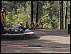 Campamento de verano 2005 en el Robledal - Del 1 al 14 de agosto de 2005