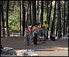 Campamento de verano 2005 en el Robledal - Del 1 al 14 de agosto de 2005