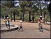 Campamento de verano 2005 en el Robledal - Del 1 al 14 de agosto de 2005