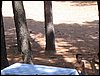 Campamento de verano 2005 en el Robledal - Del 1 al 14 de agosto de 2005