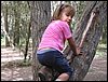 Campamento de verano 2005 en el Robledal - Del 1 al 14 de agosto de 2005