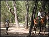 Campamento de verano 2005 en el Robledal - Del 1 al 14 de agosto de 2005