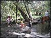 Campamento de verano 2005 en el Robledal - Del 1 al 14 de agosto de 2005