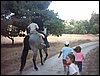 Campamento de verano 2005 en el Robledal - Del 1 al 14 de agosto de 2005