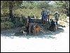 Campamento de verano 2005 en el Robledal - Del 1 al 14 de agosto de 2005
