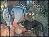 Campamento de verano 2005 en el Robledal - Del 1 al 14 de agosto de 2005