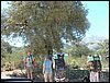 Campamento de verano 2005 en el Robledal - Del 1 al 14 de agosto de 2005