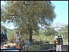 Campamento de verano 2005 en el Robledal - Del 1 al 14 de agosto de 2005