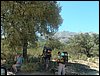 Campamento de verano 2005 en el Robledal - Del 1 al 14 de agosto de 2005