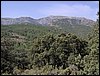 Campamento de verano 2005 en el Robledal - Del 1 al 14 de agosto de 2005