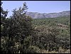 Campamento de verano 2005 en el Robledal - Del 1 al 14 de agosto de 2005