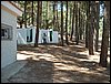 Campamento de verano 2005 en el Robledal - Del 1 al 14 de agosto de 2005