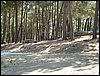 Campamento de verano 2005 en el Robledal - Del 1 al 14 de agosto de 2005