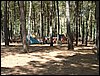 Campamento de verano 2005 en el Robledal - Del 1 al 14 de agosto de 2005