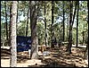 Campamento de verano 2005 en el Robledal - Del 1 al 14 de agosto de 2005