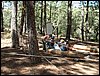 Campamento de verano 2005 en el Robledal - Del 1 al 14 de agosto de 2005