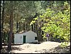 Campamento de verano 2005 en el Robledal - Del 1 al 14 de agosto de 2005