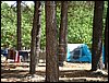 Campamento de verano 2005 en el Robledal - Del 1 al 14 de agosto de 2005