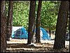 Campamento de verano 2005 en el Robledal - Del 1 al 14 de agosto de 2005