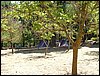 Campamento de verano 2005 en el Robledal - Del 1 al 14 de agosto de 2005