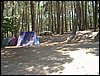 Campamento de verano 2005 en el Robledal - Del 1 al 14 de agosto de 2005