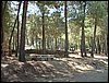 Campamento de verano 2005 en el Robledal - Del 1 al 14 de agosto de 2005