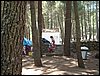 Campamento de verano 2005 en el Robledal - Del 1 al 14 de agosto de 2005