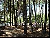 Campamento de verano 2005 en el Robledal - Del 1 al 14 de agosto de 2005