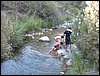 Campamento de verano 2005 en el Robledal - Del 1 al 14 de agosto de 2005