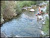 Campamento de verano 2005 en el Robledal - Del 1 al 14 de agosto de 2005