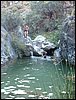 Campamento de verano 2005 en el Robledal - Del 1 al 14 de agosto de 2005