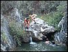 Campamento de verano 2005 en el Robledal - Del 1 al 14 de agosto de 2005