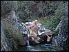 Campamento de verano 2005 en el Robledal - Del 1 al 14 de agosto de 2005