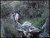 Campamento de verano 2005 en el Robledal - Del 1 al 14 de agosto de 2005